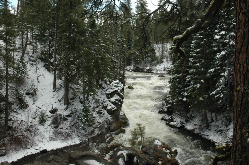 snowshoeing3.jpg