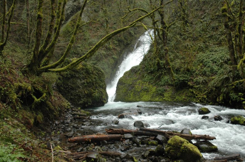 bridalveilfalls4.jpg