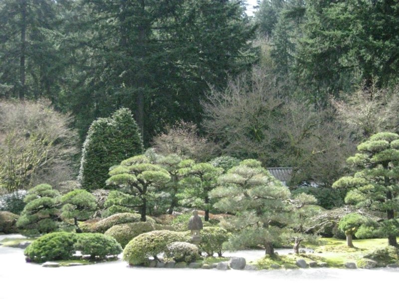 japaneseteagarden6.jpg