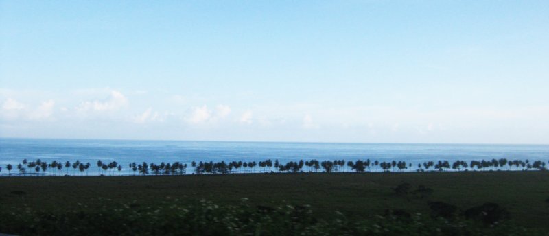 oldparallelcoastalroadlinedwithpalms.jpg