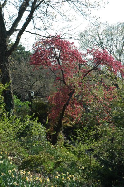 dsc_0071.jpg