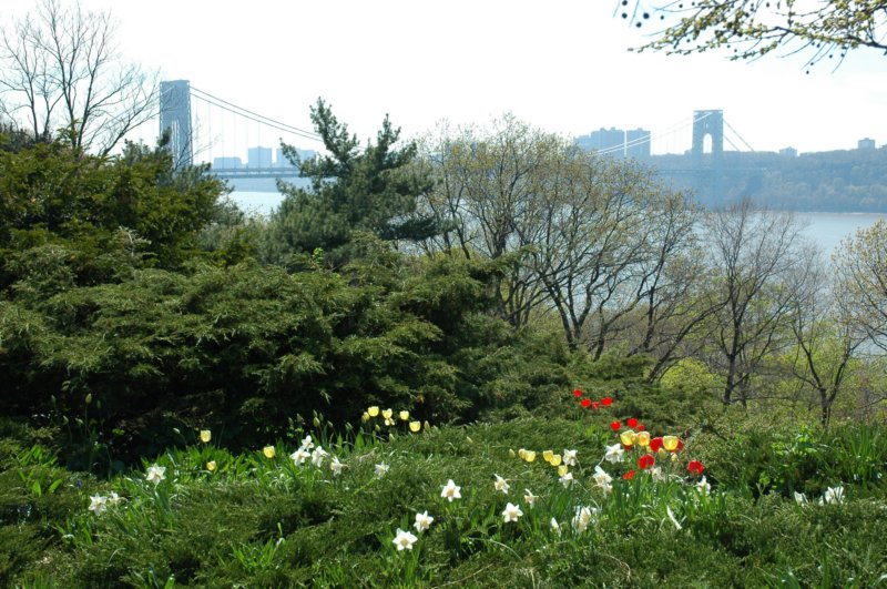 georgewashingtonbridge.jpg