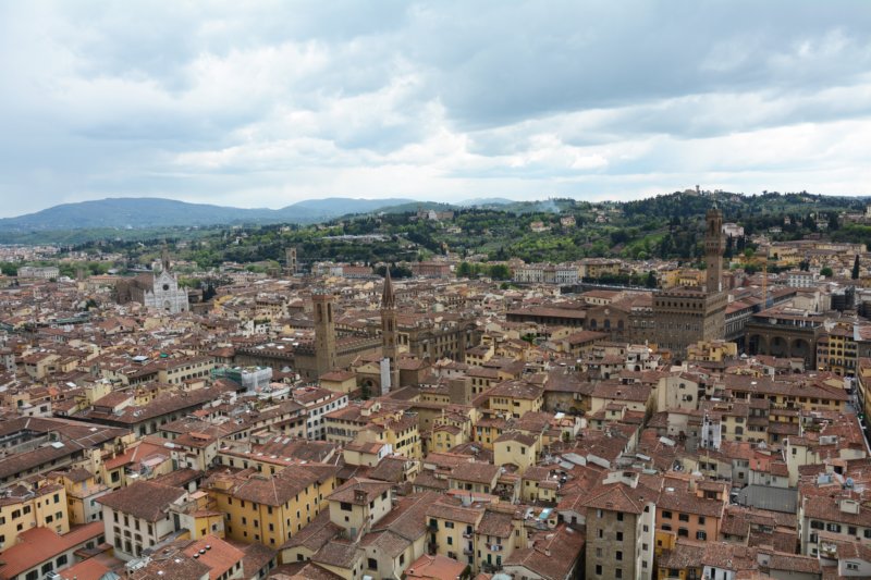rooftopsoffirenze.jpg