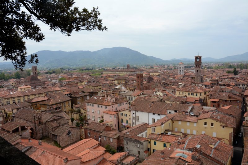atthetopwefindbeautifulviewsoftherooftopsoflucca.jpg
