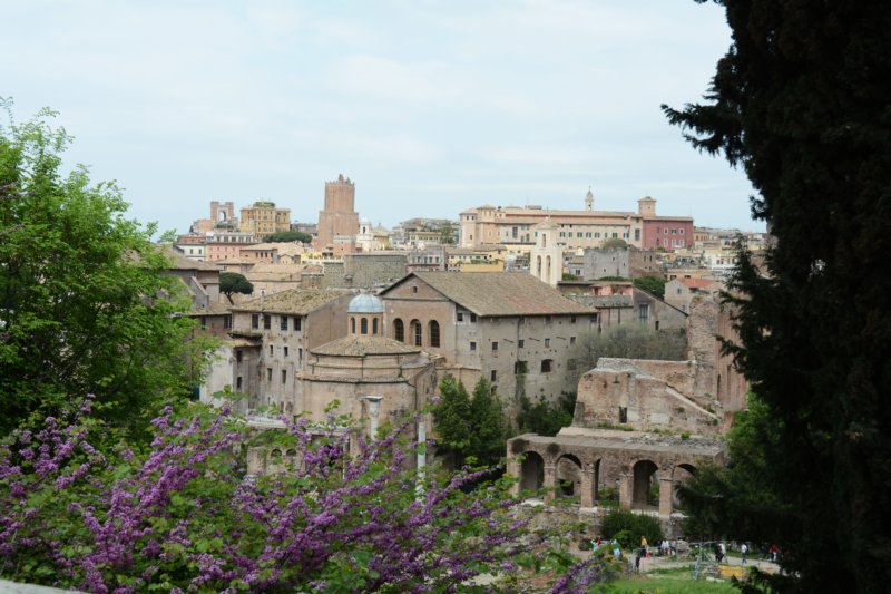 viewfromtheforum.jpg