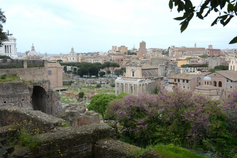 viewoftheforum.jpg