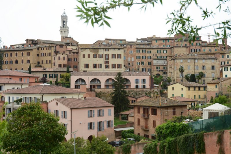 sienasmulticoloredcityscapewiththetorremangia.jpg