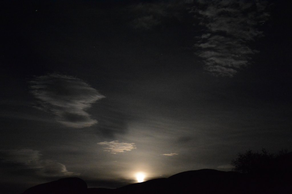moonrise.jpg