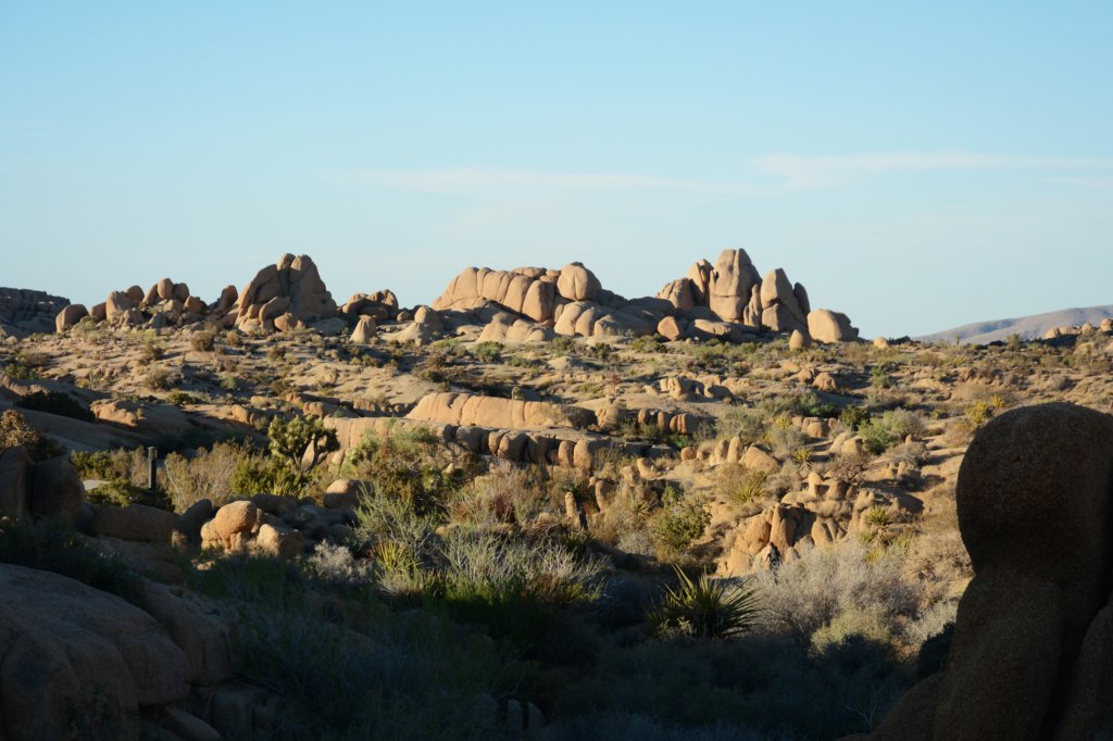 morefantasticlandscape.jpg