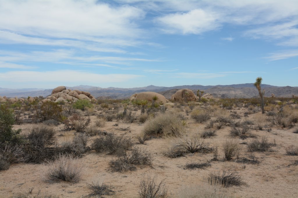 thedesertsnotbarren.jpg