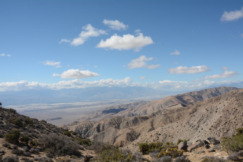 dsc_0110.jpg