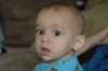 dsc_0013a_small.jpg