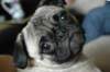 dsc_0030a_small.jpg