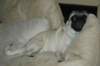 dsc_0048a_small.jpg