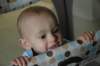 dsc_0051a_small.jpg