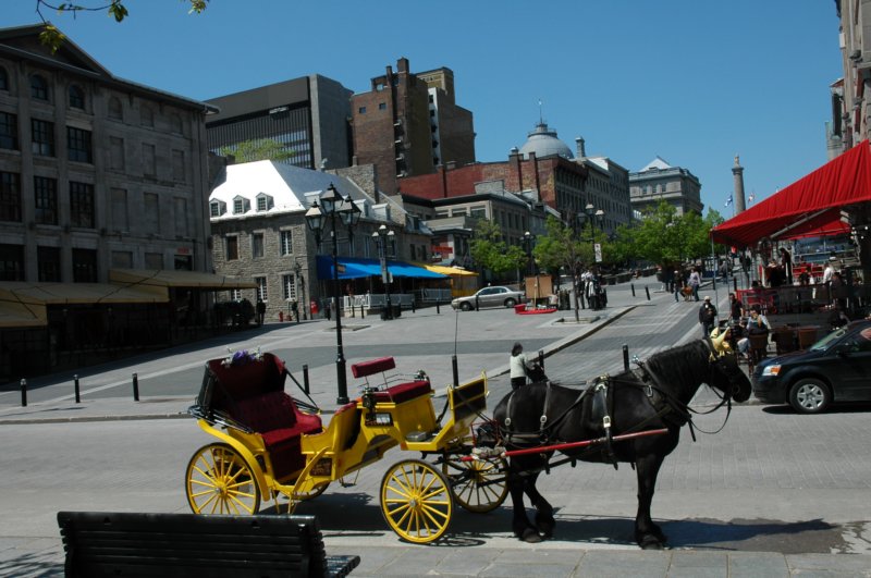 dsc_0207.jpg