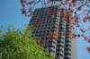 dsc_0220_small.jpg