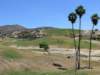 africanplains_small.jpg