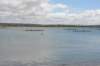 dsc_09960a_small.jpg
