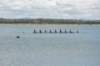 dsc_09978a_small.jpg