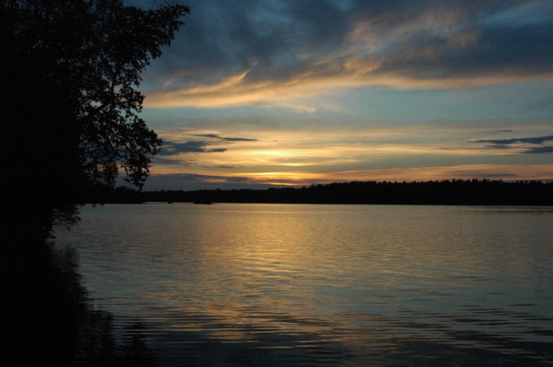 dsc_0550.jpg