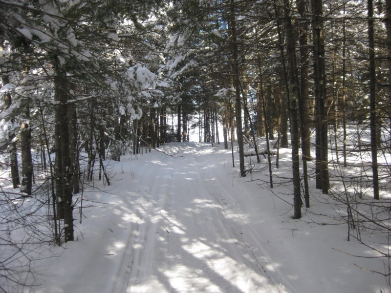 canfieldportage.jpg