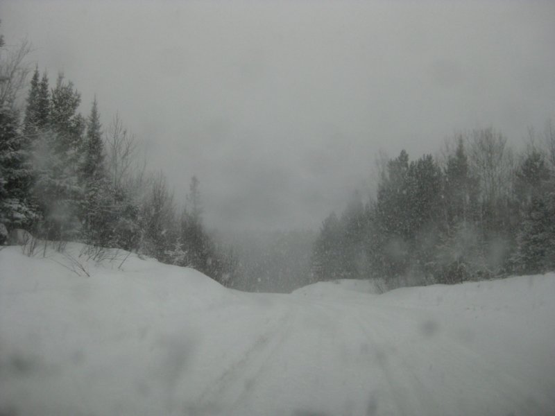 mudcreekroad.jpg