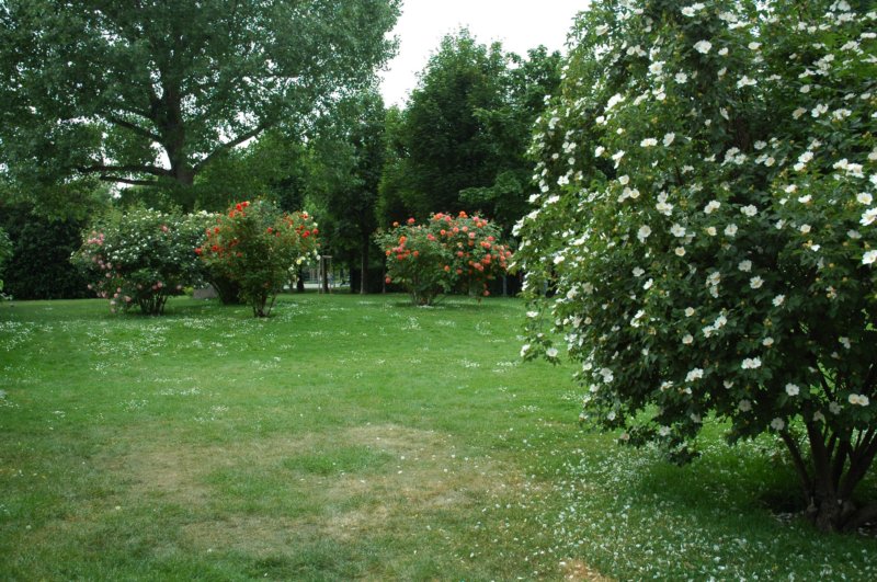 volksgarten.jpg